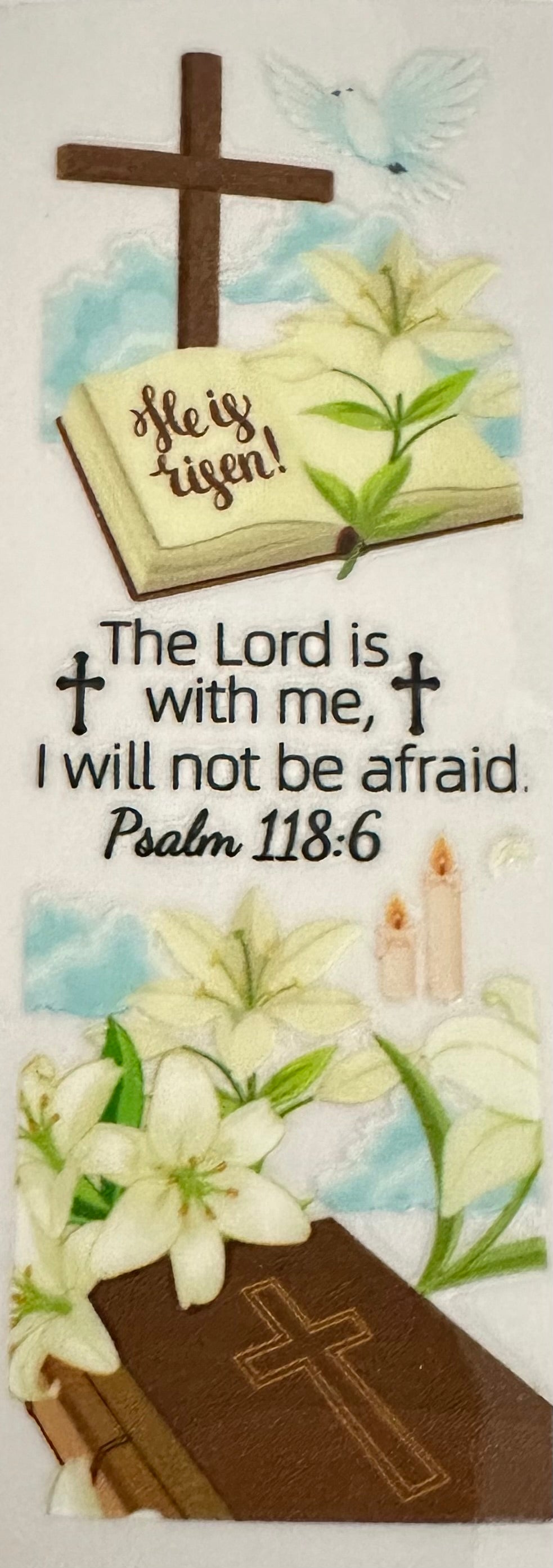 Scripture 7 - Pen