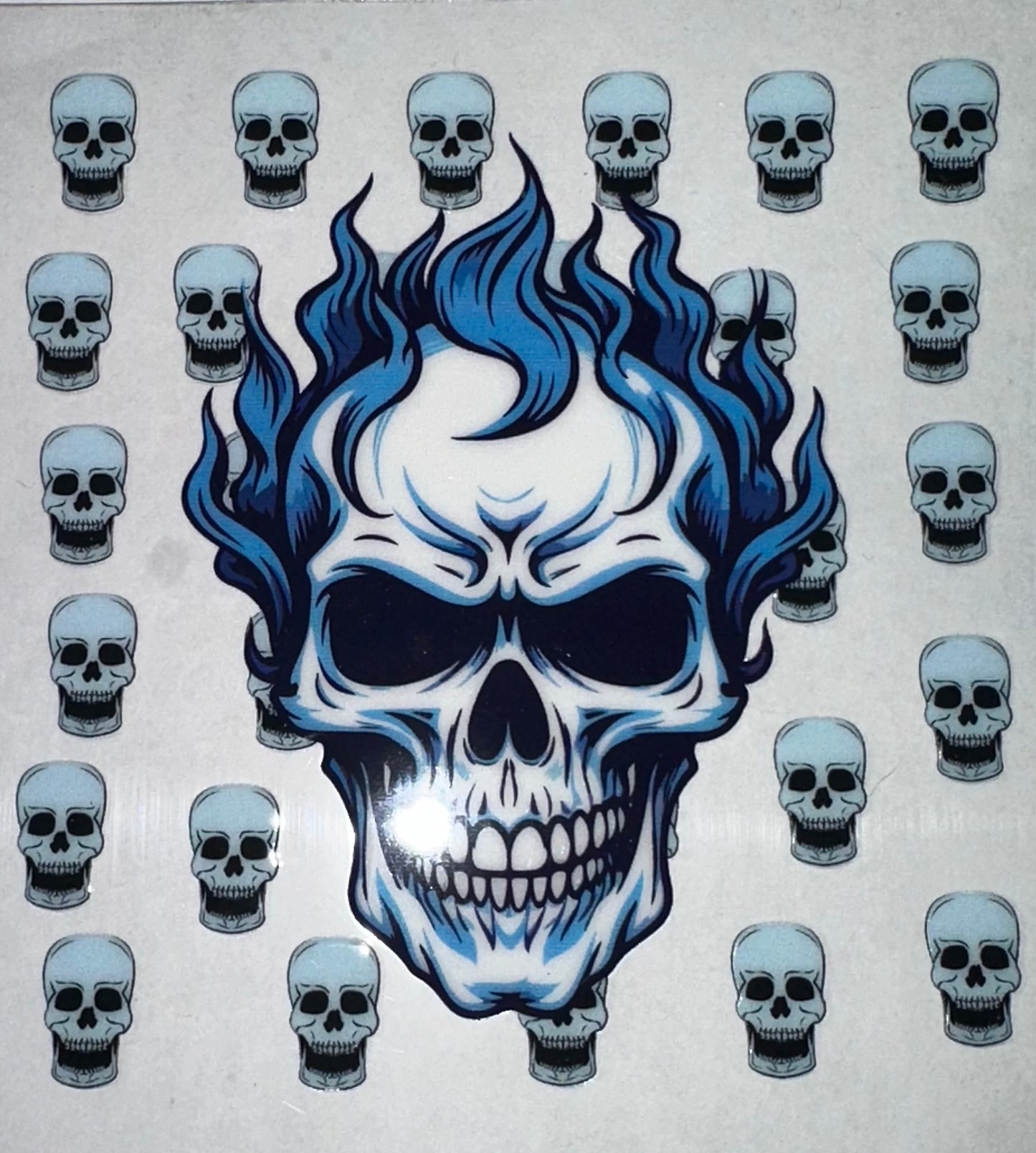 Skull