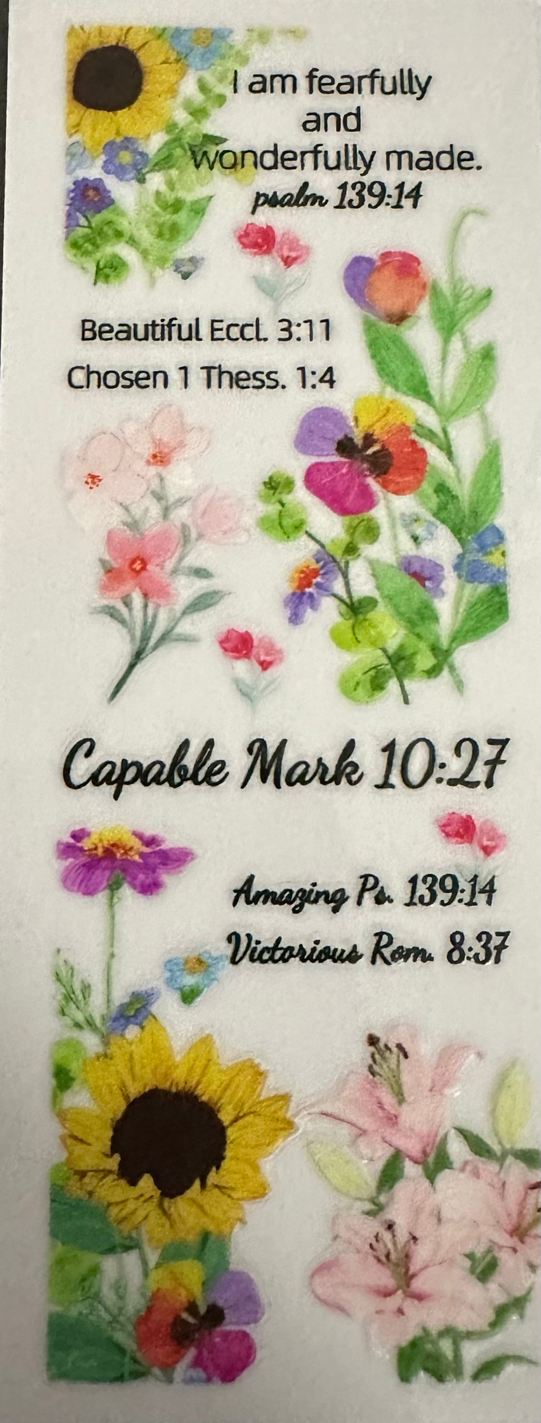 Scripture 2 - Pen